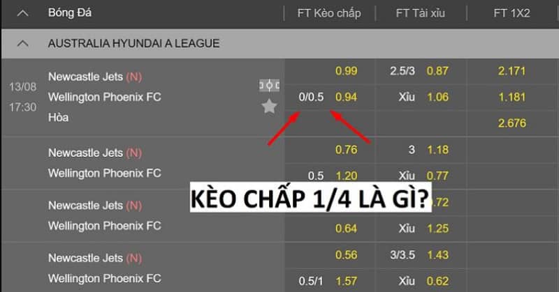 Cách Soi Kèo Chấp 1/4 – 0.25 Cho Newbie Ăn Đậm Chơi kèo 1/4 cả trận (FT)