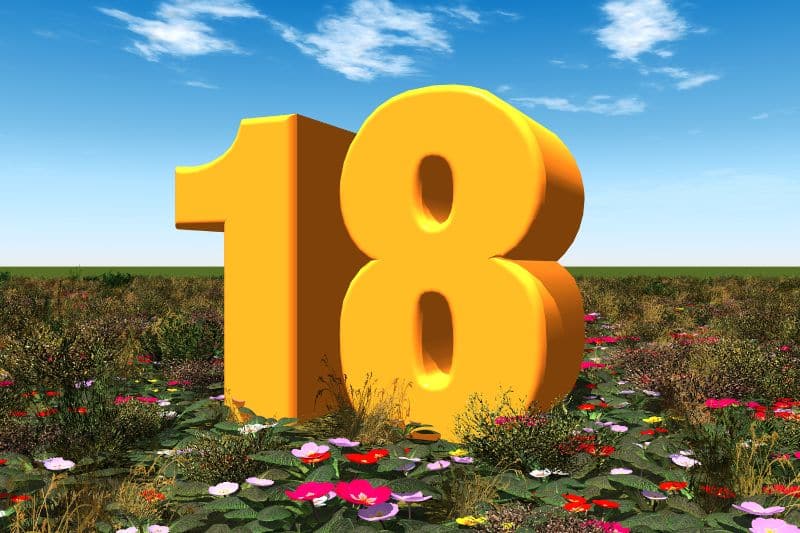 Đề Về 18 Hôm Sau Đánh Con Gì Ăn Quanh Năm Số 18 thuộc ngũ hành gì?