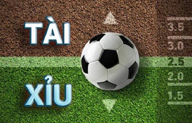 Hướng Dẫn Chơi Kèo Tài Xỉu 2 1/4 Dễ Ăn Nhất Kèo tài xỉu và tài xỉu 2 1/4 là như thế nào?